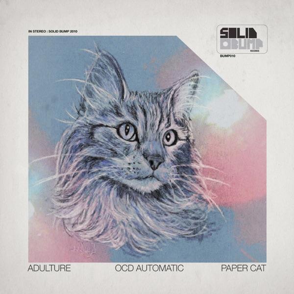 Paper Cat (Bit Funk Remix)