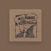 Milkweed