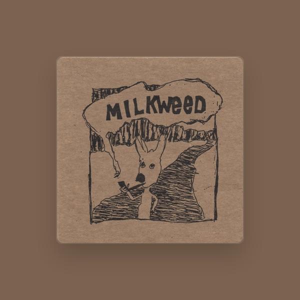Milkweed