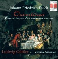Overture (Suite) In D Minor (arr. M. Fechner): II. Air I