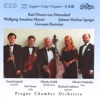 J. M. Sperger: Sonata for Viola and Double Bass - Romanze