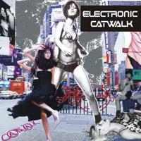 Electronic Catwalk (Sono's Bodydub Mix)