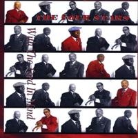 I Wouldn't Take Nothing (Outro)