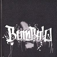 The Bump