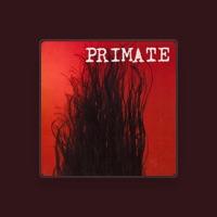 Primate
