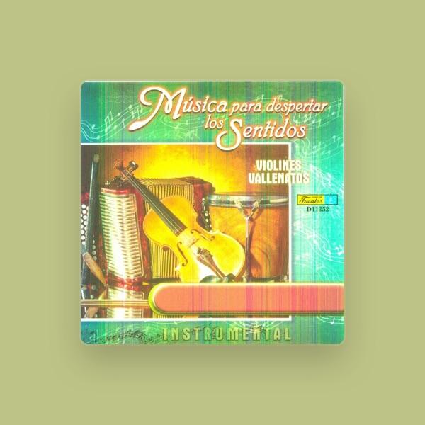 Violines de Valledupar