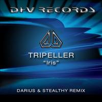 Iris (Darius & Stealthy remix)