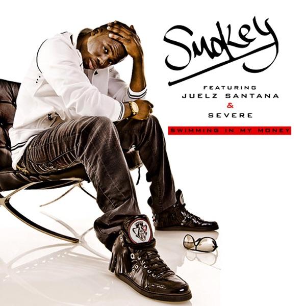 Swimming In My Money (feat. Juelz Santana & Severe)