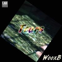 Tears (Original Mix) [Original Mix]