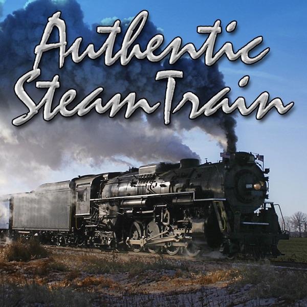 Steam Train Pull Away, Increase Speed, Heavy Track Squeal / Passenger Car