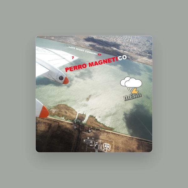 Perro Magnetico