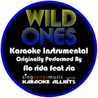Wild Ones (Originally Performed By Flo Rida feat Sia) [Karaoke Instrumental]