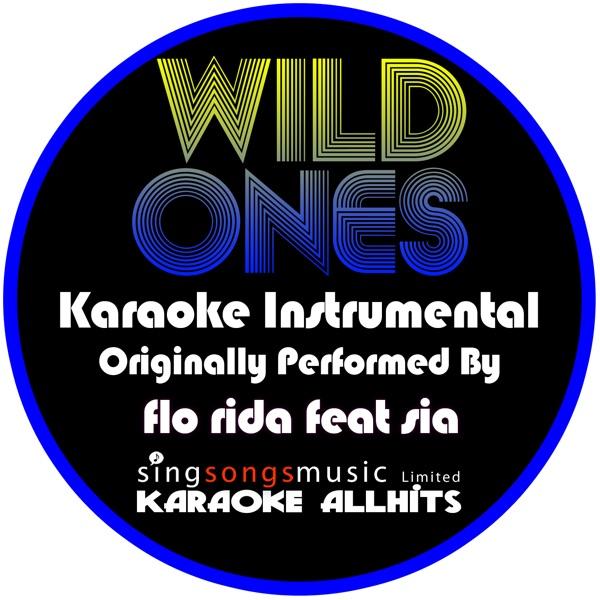 Wild Ones (Originally Performed By Flo Rida feat Sia) [Karaoke Instrumental]