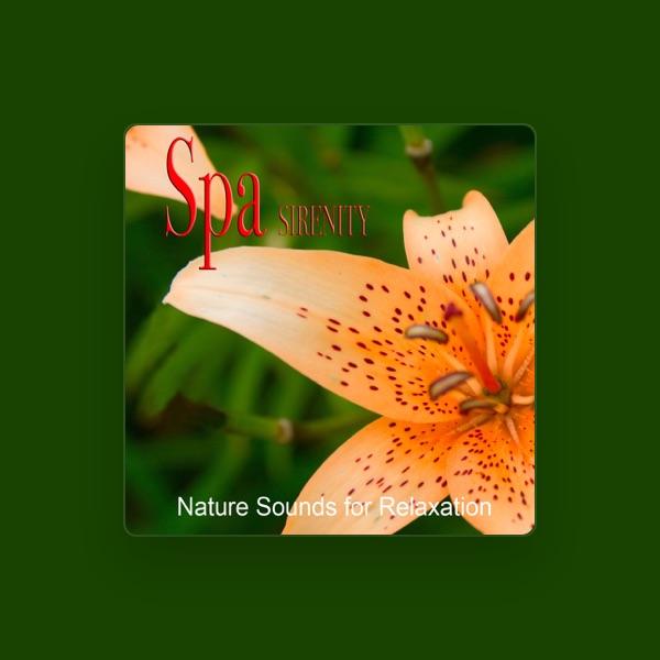 Music For Body And Soul