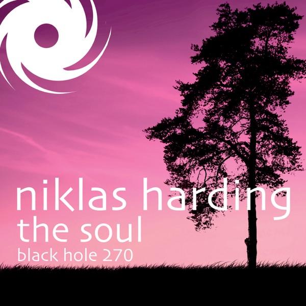 The Soul (Alaa Remix)