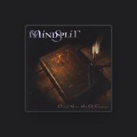 Mindsplit