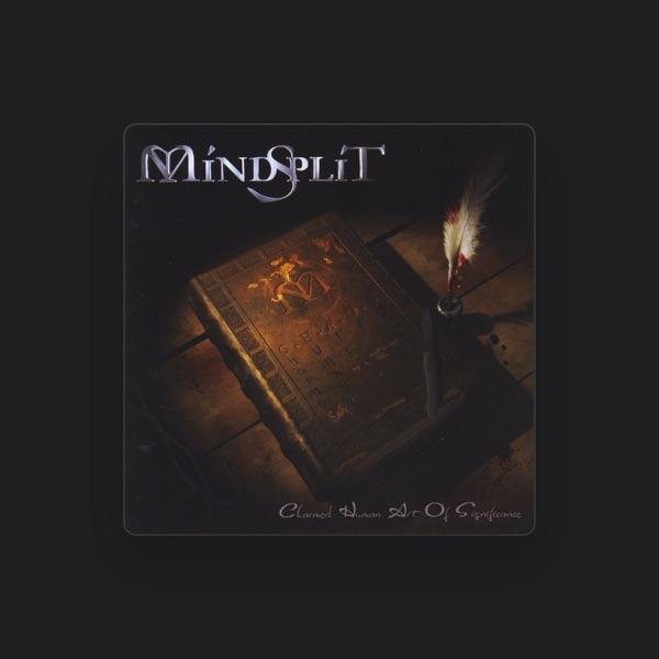 Mindsplit