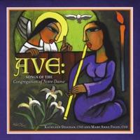 In the Footsteps of Mary