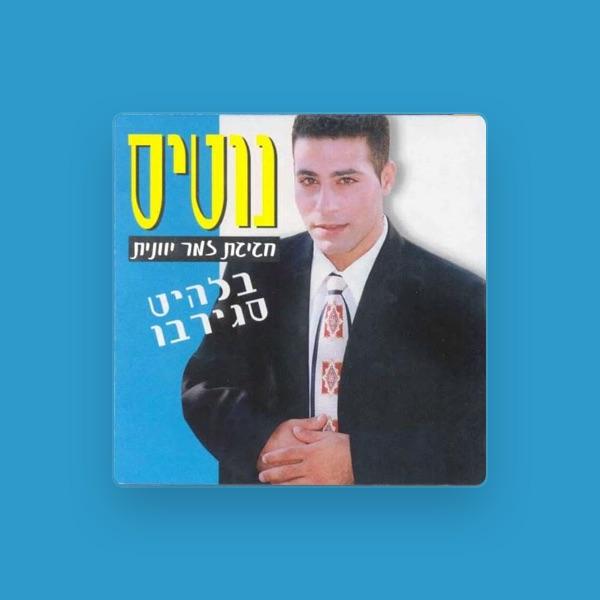 Notis (נוטיס)