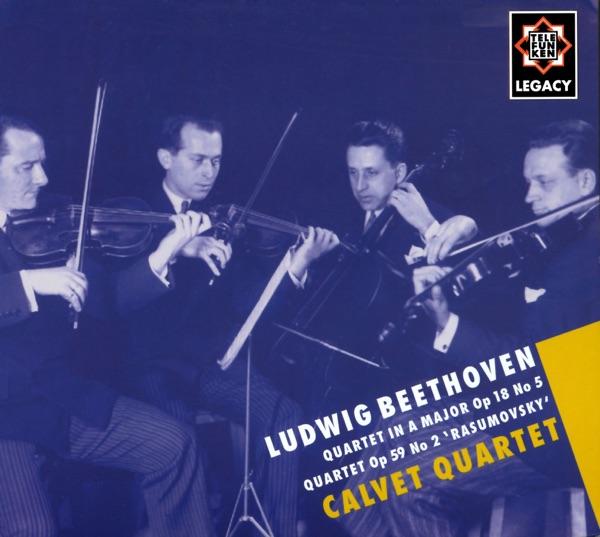 String Quartet No. 8 in E Minor Op. 59, No. 2 - "Rasumovsky": III. Allegretto