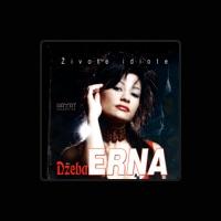 Džeba Erna