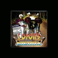 Los Coyotes De La Sierra