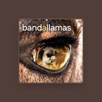 Bandallamas
