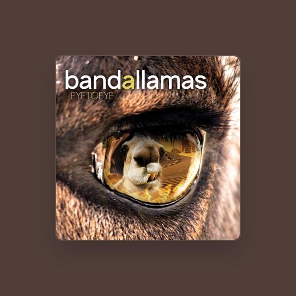 Bandallamas