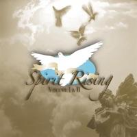 He Is Lord (feat. Brian C. Wilson & Ron Summers)