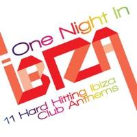 Because the Night (Fender Mix)