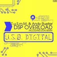 DSP Overload (Zon Remix)