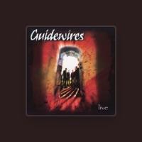 Guidewires