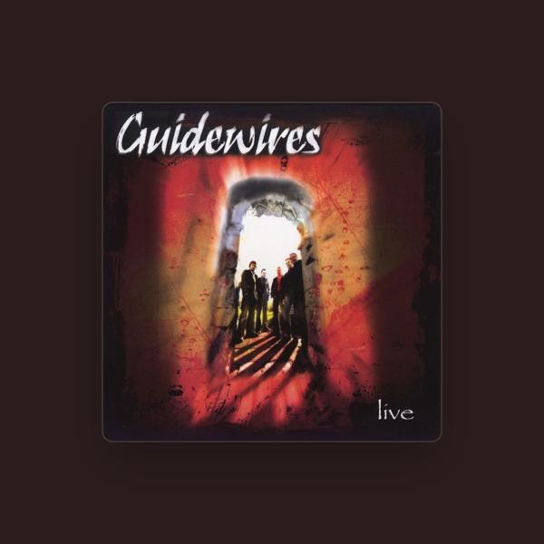 Guidewires