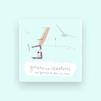 Gossamer Albatross