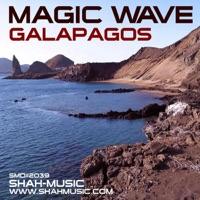Galapagos (DJ Shah & Ralph Fritsch Tribute Edit)