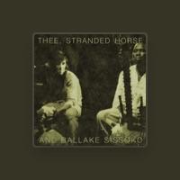 Thee Stranded Horse and Ballake Sissoko