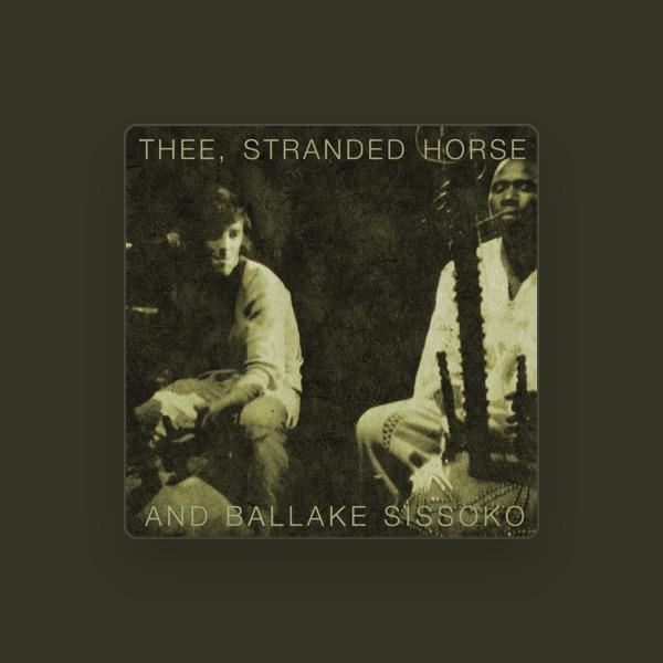 Thee Stranded Horse and Ballake Sissoko