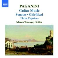 Sonata No. 14 in F major, MS 84: Minuetto - Valtz (Allegretto)