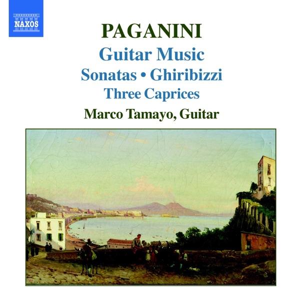 Sonata No. 14 in F major, MS 84: Minuetto - Valtz (Allegretto)