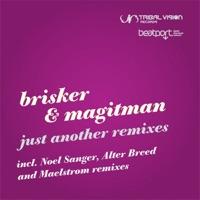 Braniac (Ricky Ryan Remix)