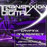 It's Perfect (David McRae vs Anthony Melnyk Remix)
