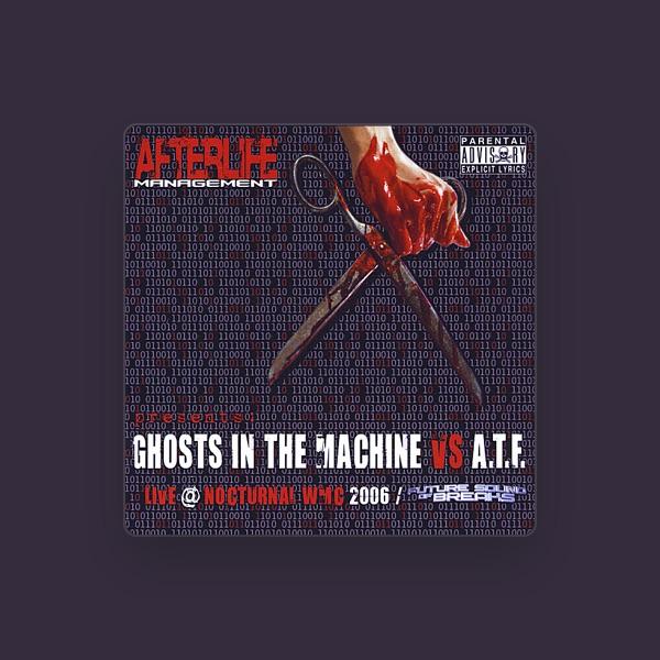 Ghosts in the Machine Vs Analog to Future