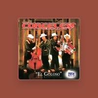 Los Corceles De Durango