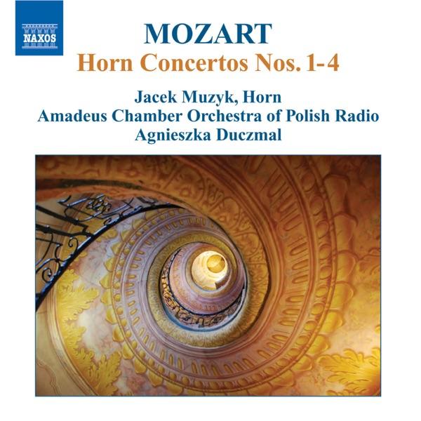 Horn Concerto No. 4 in E-Flat Major, K. 495: III. Rondo: Allegro Vivace