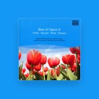 Budapest Festival Chorus