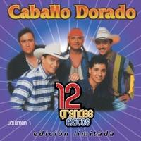 No Rompas Mi Corazón (Achy Breaky Heart)