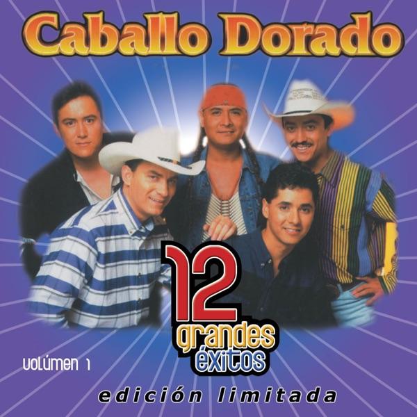 No Rompas Mi Corazón (Achy Breaky Heart)