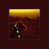 Neon Indian