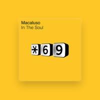 Macaluso