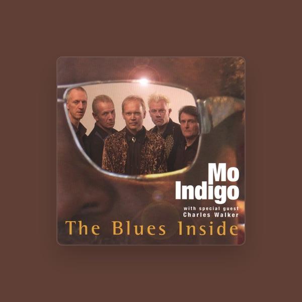 Mo'indigo